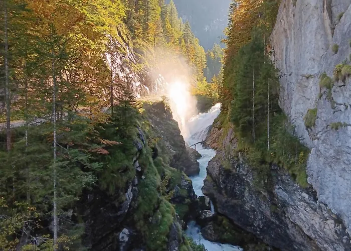 Gingin- * ハルシュタット